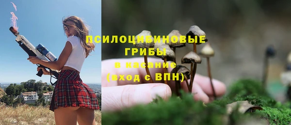 СК Абаза