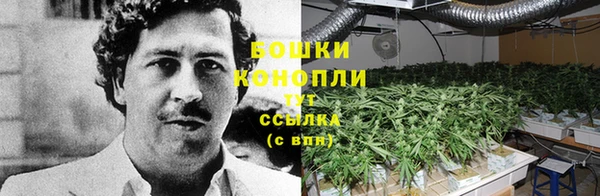 СК Абаза