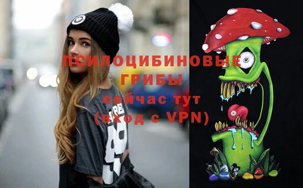 СК Абаза